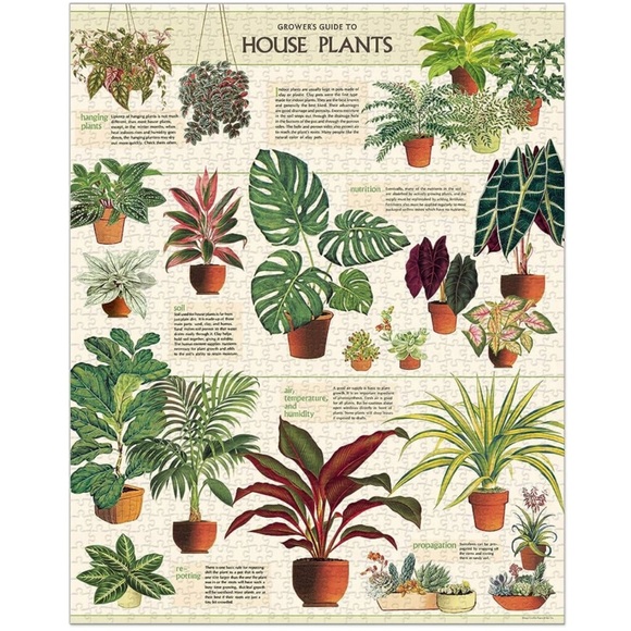 1000 Piece Vintage Themed House Plants Puzzle by Cavallini & Co. - Picture 3 of 13